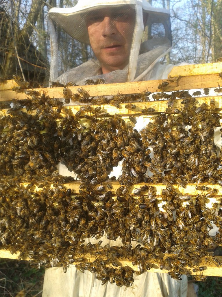 Jérôme Henry avec ses abeilles