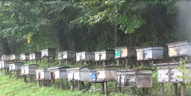  Test site dans la région de Adler, Russie