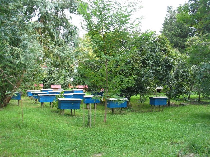  Test site dans la région de Adler, Russie