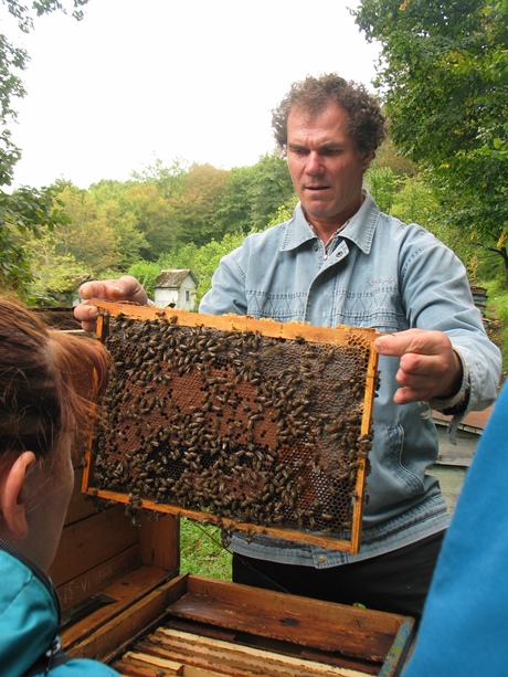 Viktor apiculteur de la Russie avec ses abeilles